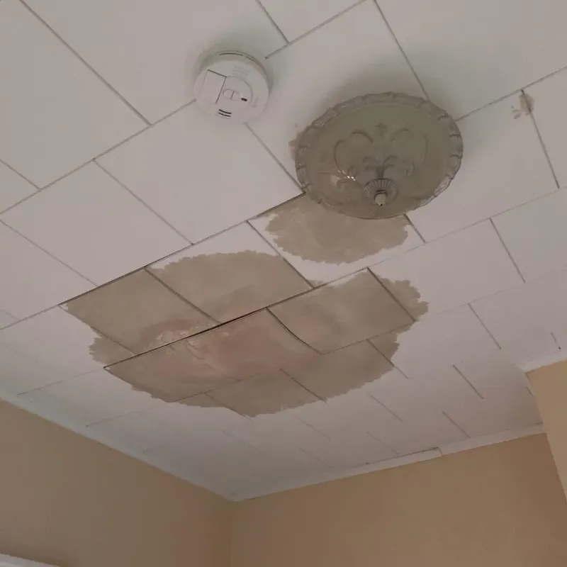 Ceiling Water Damage Repair in Smithville, TX
