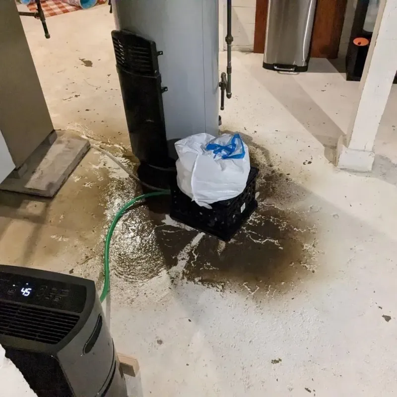 Sewage Backup Cleanup Service in Smithville, TX